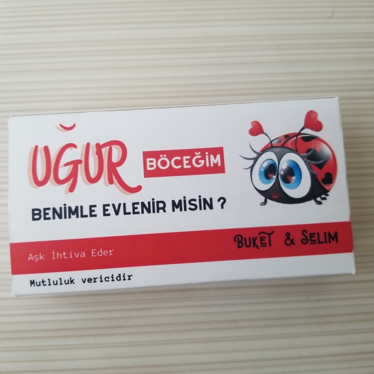 Uğur Böceğim görsel 2